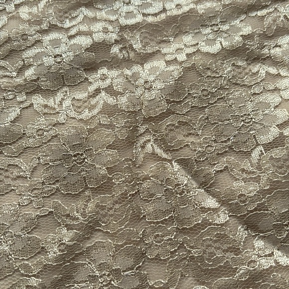 🥂BEAUTIFUL CHAMPAGNE/NUDE COLORED LACE FABRIC! - Picture 4 of 6